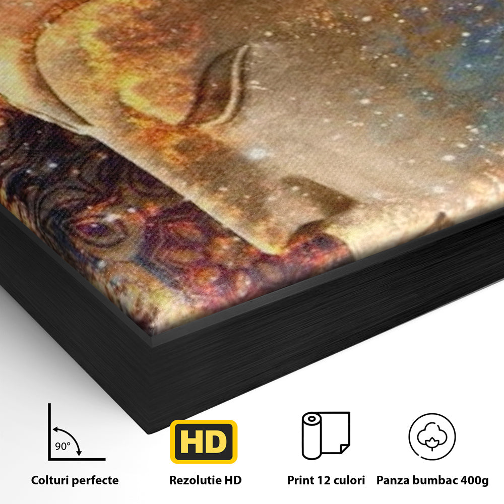 Detaliu al suprafetei: tablou canvas cu profilul lui buddha, in rama de aluminiu negru